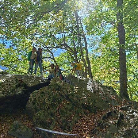 Stai Za Gosti Rila Hotel Luaran gambar